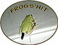 Frogs'Hit team badge